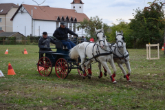 Torzsás Napok 2. nap