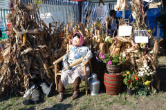 Torzsás Napok 3. nap